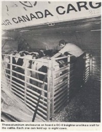 tmb cattle transport