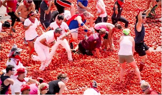 tmb 550 tomato fight